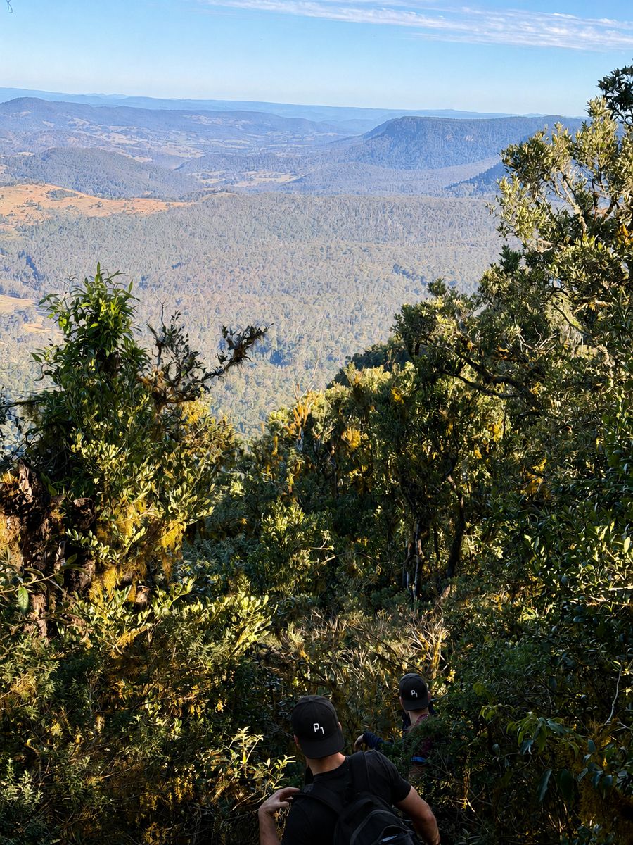 The team out hiking above the valley